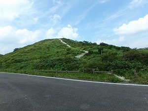 Co