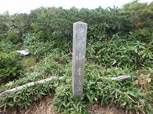 qRR