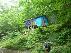 남돬ʉ